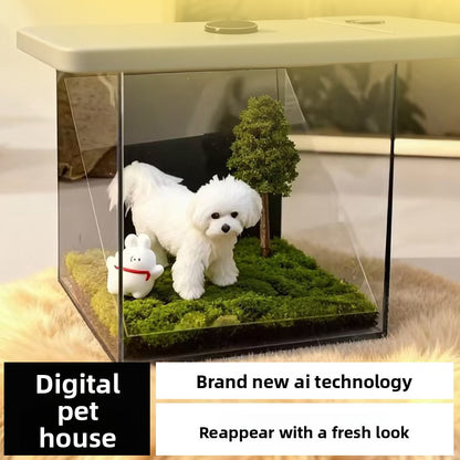 Holographic Pet
