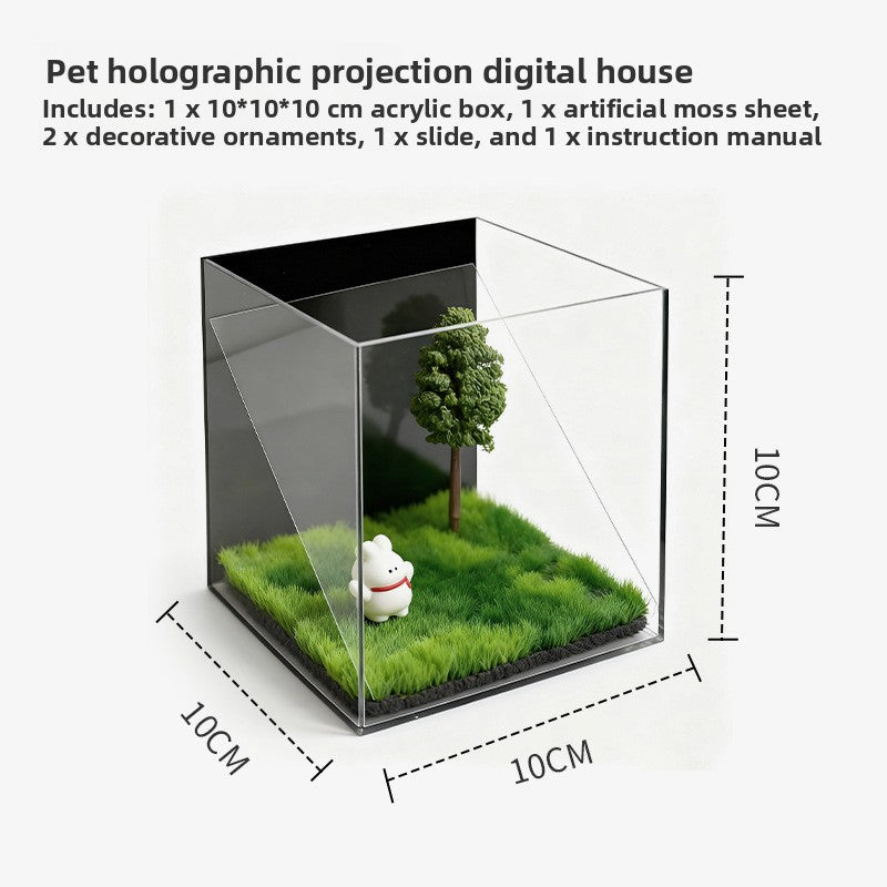 Holographic Pet
