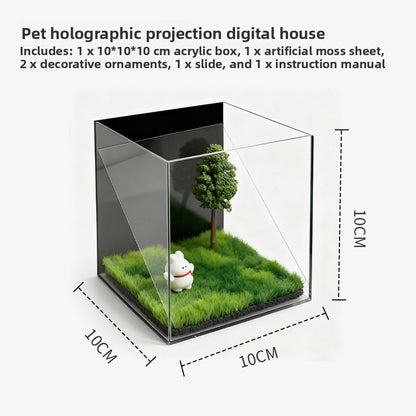 Holographic Pet