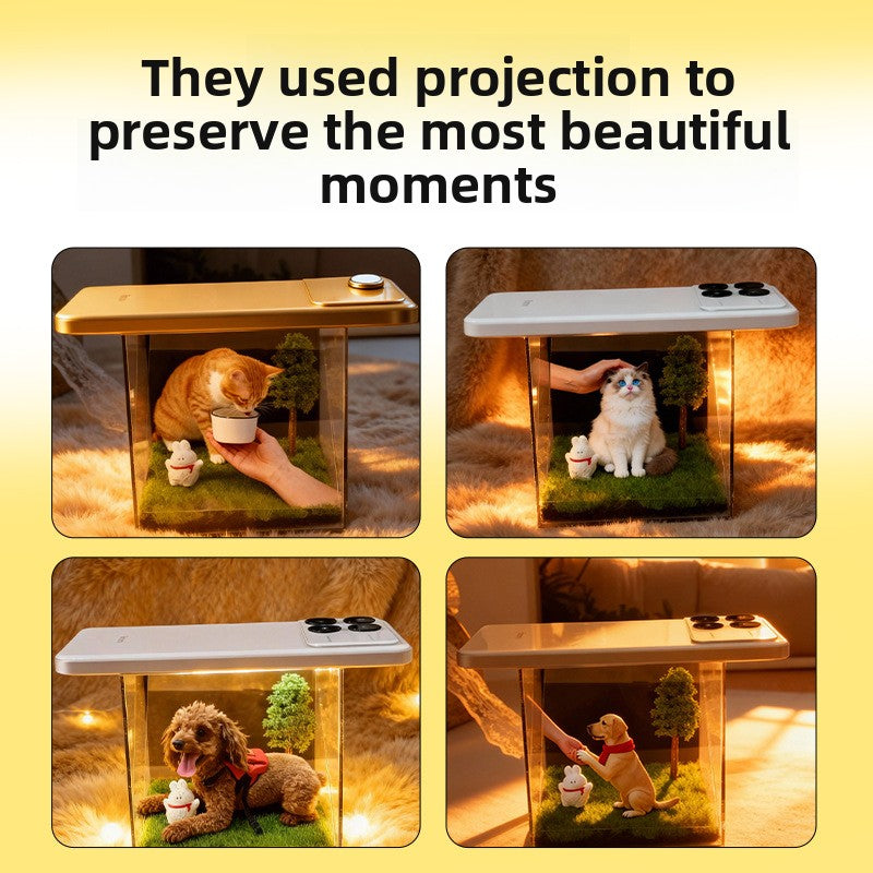 Holographic Pet