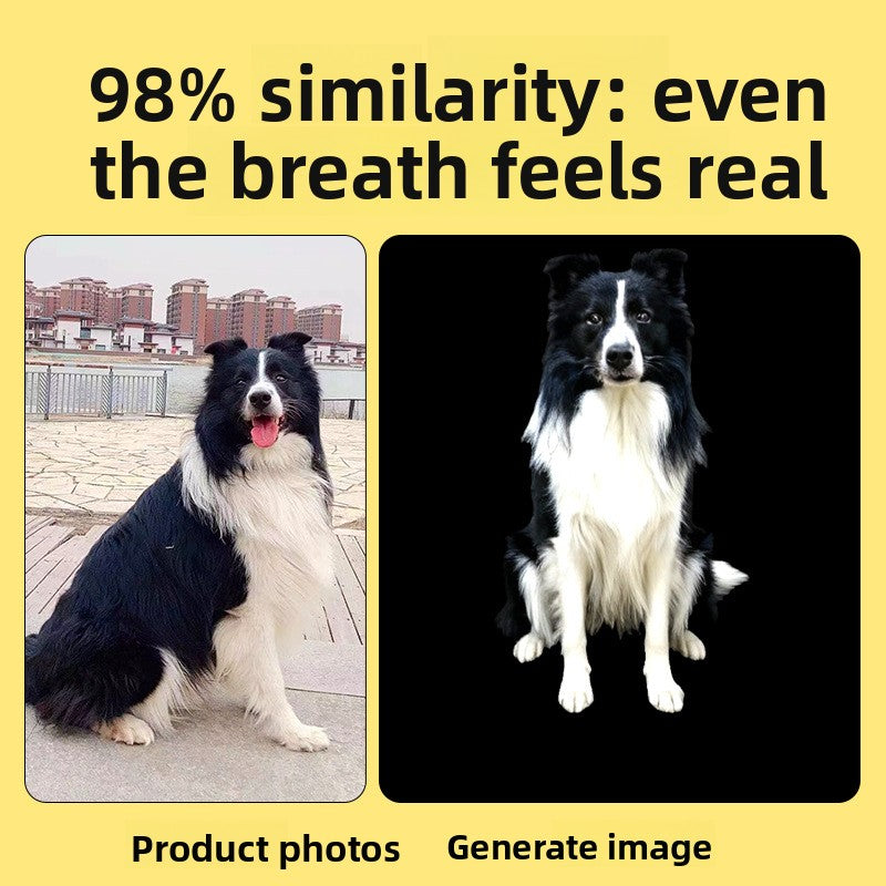 Holographic Pet