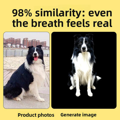 Holographic Pet